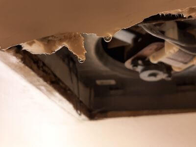 Professional emergency flood repair services in Nokomis